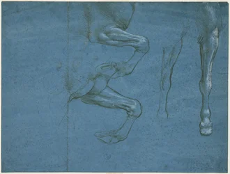 Studier av hästens framben, ca. 1490 (metallisk spets och kalk på blått förberett papper)